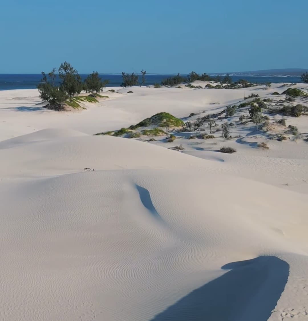 Dune